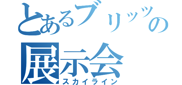 とあるブリッツの展示会（スカイライン）