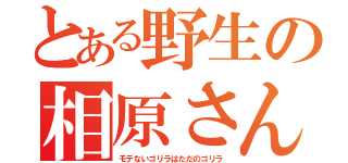 とある野生の相原さん（モテないゴリラはただのゴリラ）