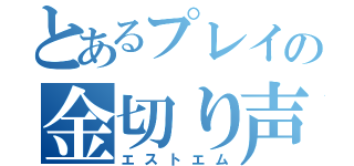 とあるプレイの金切り声（エストエム）