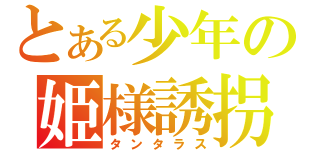 とある少年の姫様誘拐作戦（タンタラス）