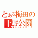 とある梅田の上野公園（スイートホーム）