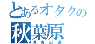 とあるオタクの秋葉原（現実逃避）