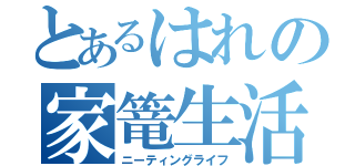 とあるはれの家篭生活（ニーティングライフ）