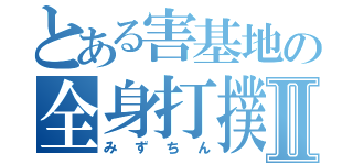 とある害基地の全身打撲女Ⅱ（みずちん）