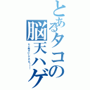 とあるタコの脳天ハゲ（たこ焼きにしてやる！！！）