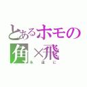 とあるホモの角×飛（永遠に）