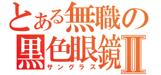 とある無職の黒色眼鏡Ⅱ（サングラス）