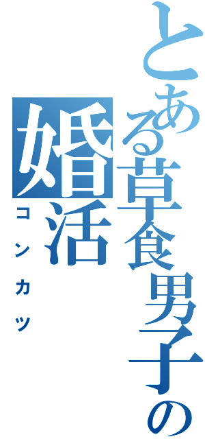 とある草食男子の婚活（コンカツ）