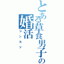 とある草食男子の婚活（コンカツ）