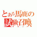 とある馬鹿の試験召喚（サモン）