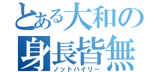 とある大和の身長皆無（ノットハイリー）