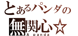 とあるパンダの無関心☆（Ａ ｐａｎｄａ）