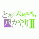 とある天然馬鹿のバカやり鵜Ⅱ（綾瀬）