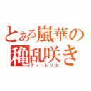 とある嵐華の穐乱咲き（ティーレリエ）