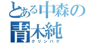 とある中森の青木純（クリンパグ）