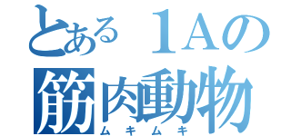 とある１Ａの筋肉動物（ムキムキ）