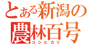 とある新潟の農林百号（コシヒカリ）