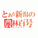 とある新潟の農林百号（コシヒカリ）