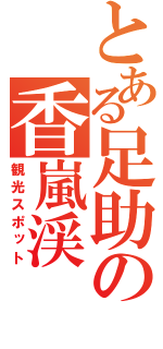 とある足助の香嵐渓（観光スポット）