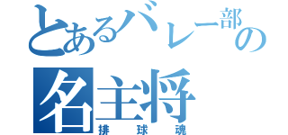 とあるバレー部の名主将（排球魂）