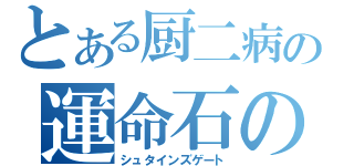 とある厨二病の運命石の扉（シュタインズゲート）