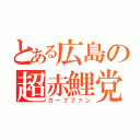 とある広島の超赤鯉党（カープファン）