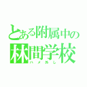 とある附属中の林間学校（ハメ外し）