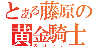 とある藤原の黄金騎士（ガロ～♪）