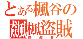 とある楓谷の飆楓盜賊（暗殺者）