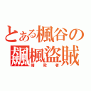 とある楓谷の飆楓盜賊（暗殺者）