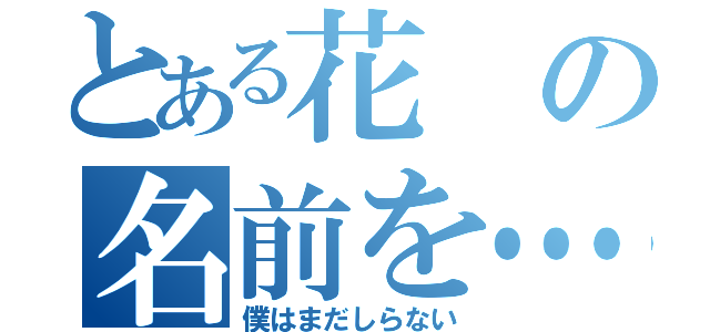 とある花の名前を…（僕はまだしらない）