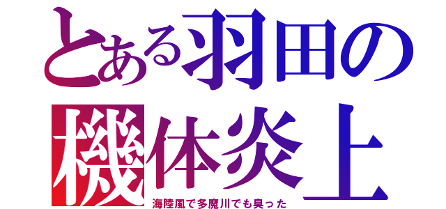 とある羽田の機体炎上（海陸風で多魔川でも臭った）