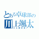 とある卓球部の川上颯太（ひな愛好家）