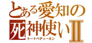 とある愛知の死神使いⅡ（トートベディーネン）