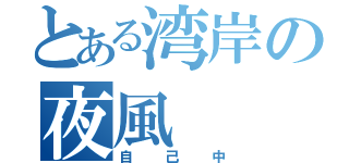 とある湾岸の夜風（自己中）