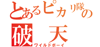 とあるピカリ隊の破　天　荒（ワイルドボーイ）