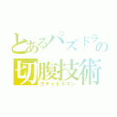 とあるパズドラの切腹技術（ガチャドラゴン）